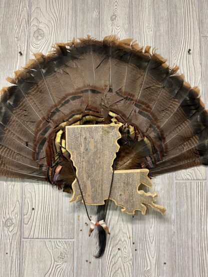 Louisiana Turkey Tail & Beard Display Mount Plaque
