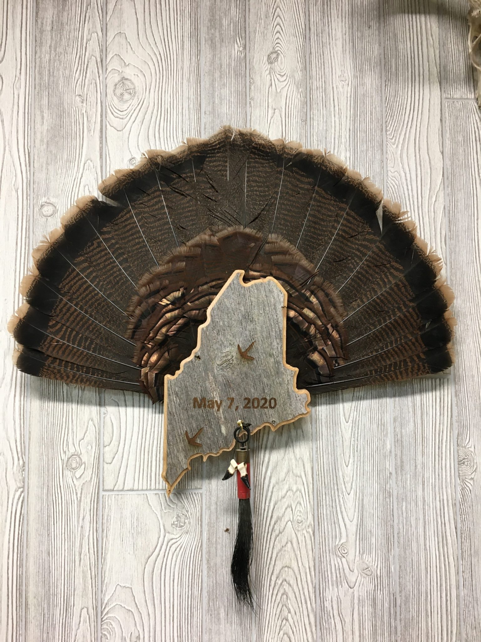 Maine Turkey Tail & Beard Display Mount Plaque Custom Outdoor Advantage