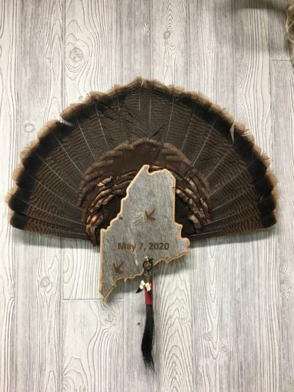 Maine Turkey Tail & Beard Display Mount Plaque
