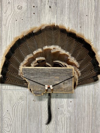 Montana State Turkey Fan Display Plaque