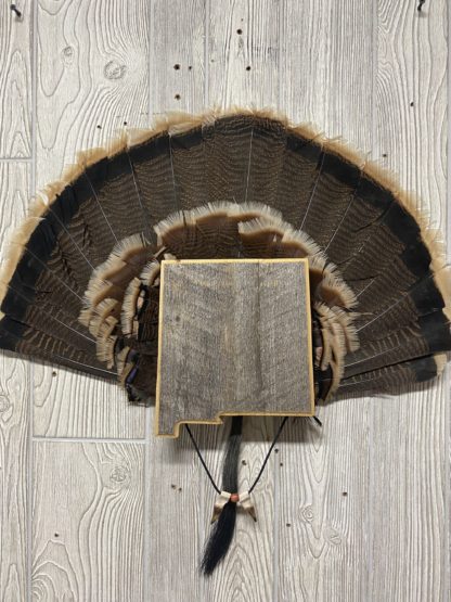 New Mexico Turkey Fan Display Panel Barnwood