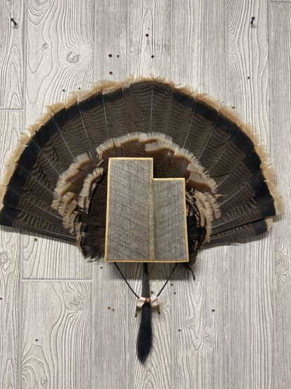 Utah Turkey Fan Display Panel Barnwood