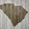 South Carolina Deer Shoulder Mount Panel