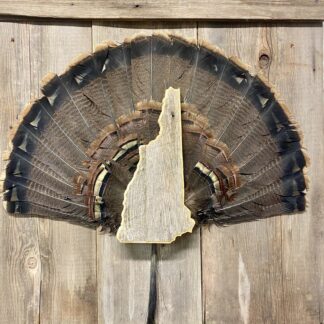 New Hampshire Turkey Fan & Beard Mount Display Plaque Barnwood