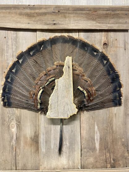 New Hampshire Turkey Fan & Beard Mount Display Plaque Barnwood