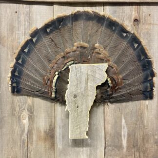 Vermont Turkey Fan & Beard Mount Display Plaque Barnwood