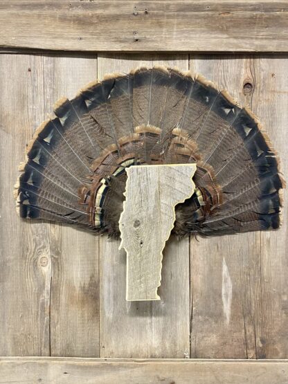 Vermont Turkey Fan & Beard Mount Display Plaque Barnwood