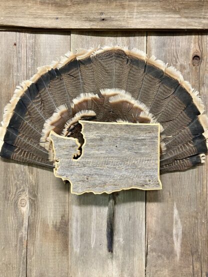 Washington Turkey Fan & Beard Mount Display Plaque Barnwood