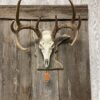 Minnesota Deer European Panel