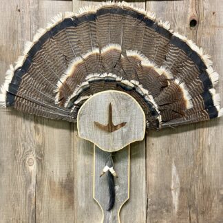 Box Call Turkey Display
