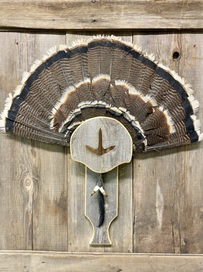 Box Call Turkey Display