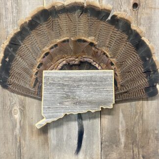 Connecticut Turkey Fan Display Panel