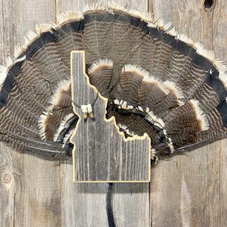 Idaho State Turkey Tail Fan Panel Mount