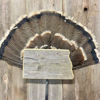 North Dakota Turkey Fan Display Panel
